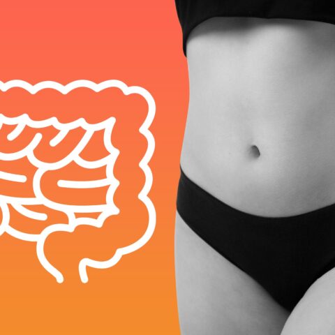 Composite image of an icon of human intestines next to a crop of a human torso