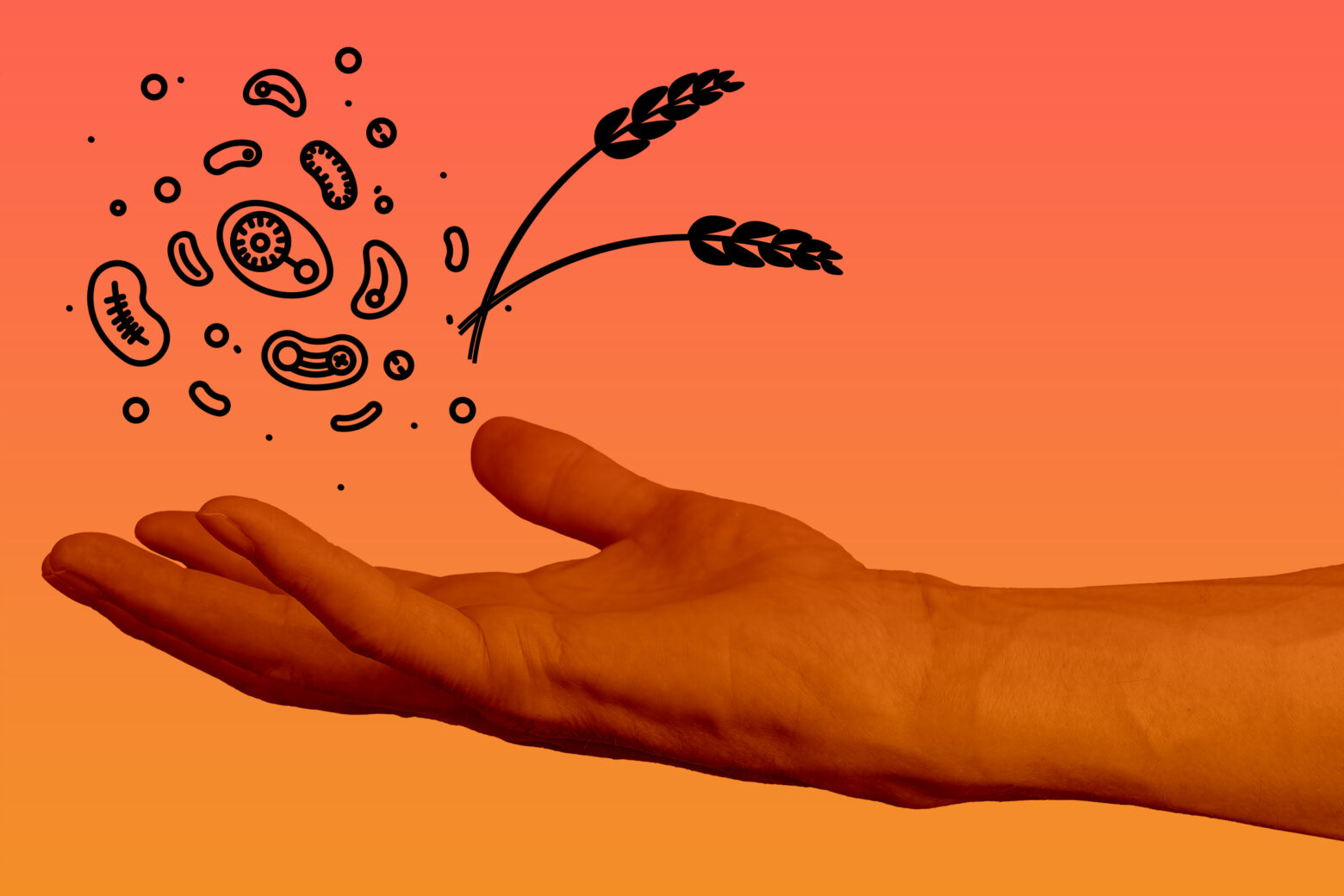 An outstretched hand with bacteria and wheat icons floating above it