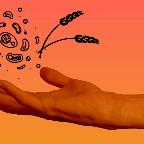 An outstretched hand with bacteria and wheat icons floating above it