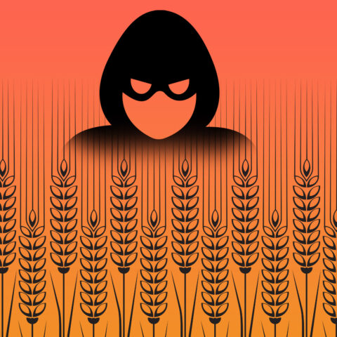 An icon of a thief above an illustrated field of wheat
