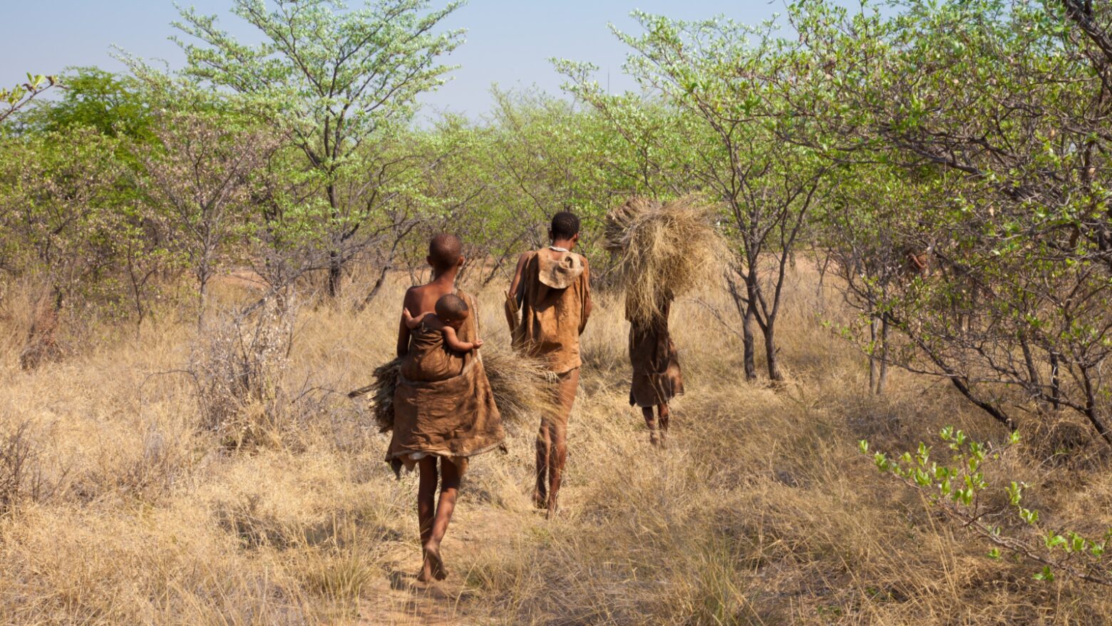 Family of hunter-gatherers in Africa walking home through a field of dried grass and green trees.