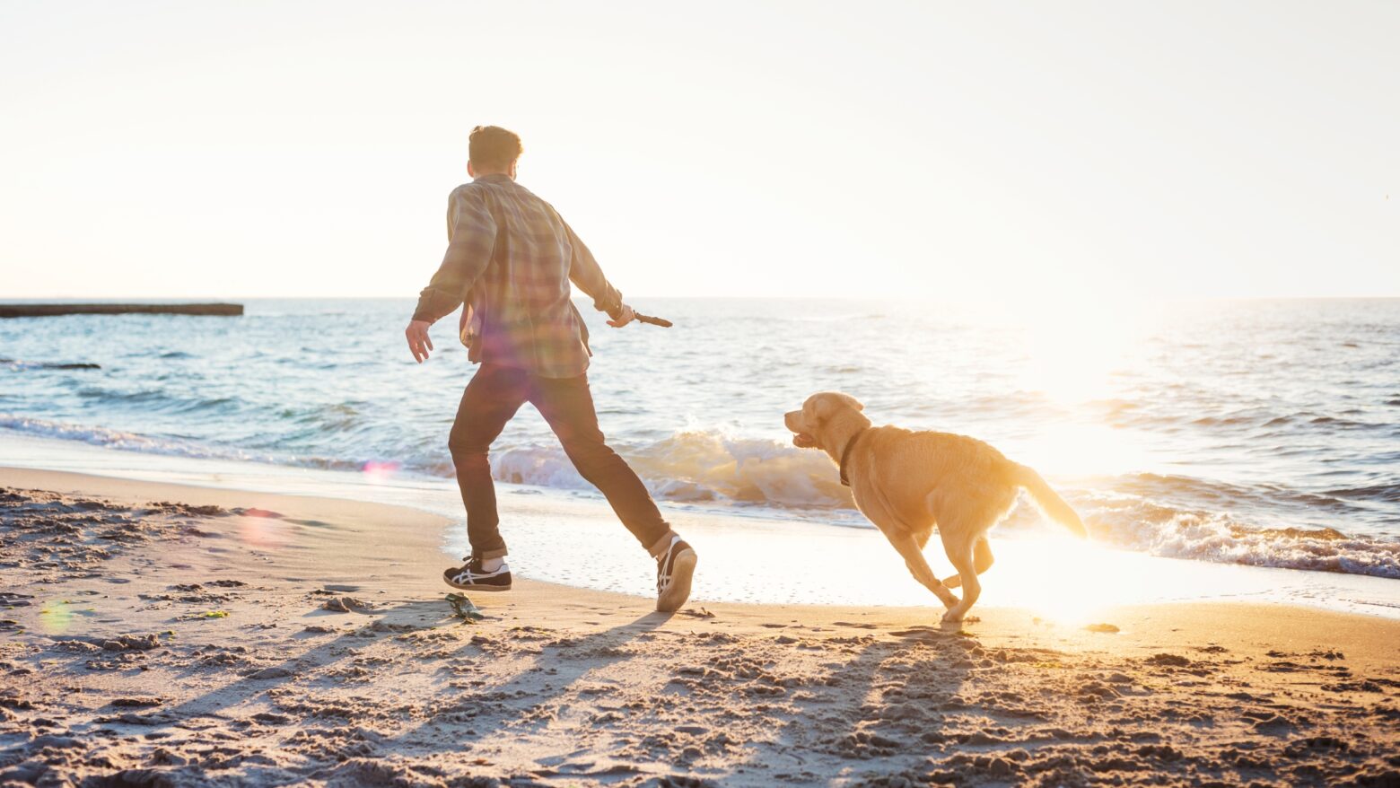 Man running with his dog along a beach at sunset.