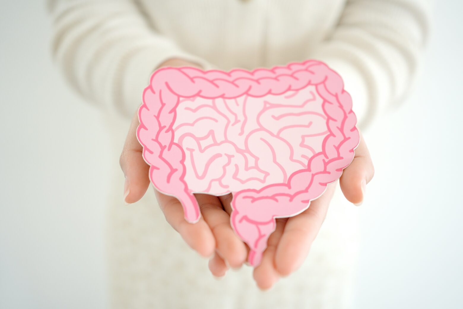 Photo of intenstines in someone's hand.