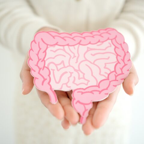 Photo of intenstines in someone's hand.