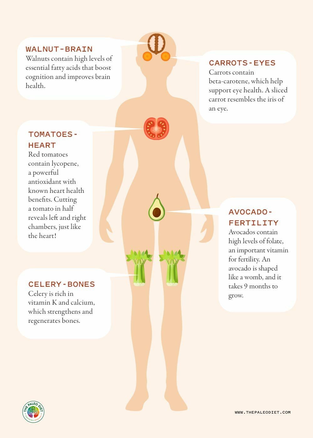 Foods that look like your body parts they are good for