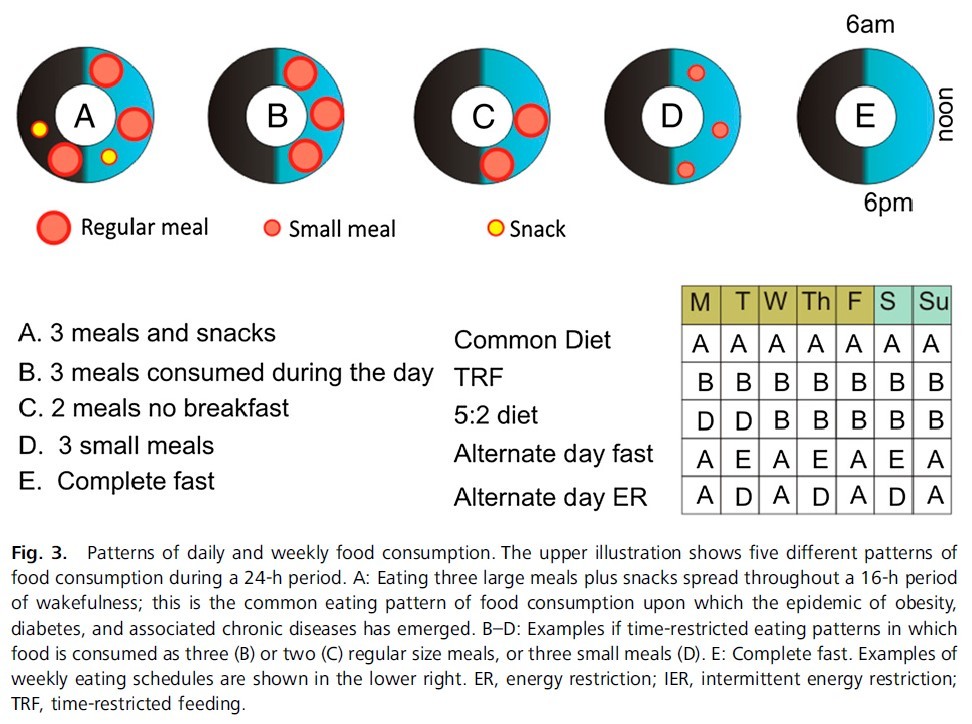 Circadian Rhythms | The Paleo Diet