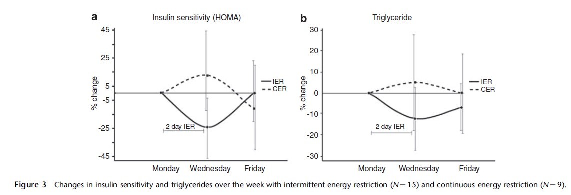 Circadian Rhythms | The Paleo Diet