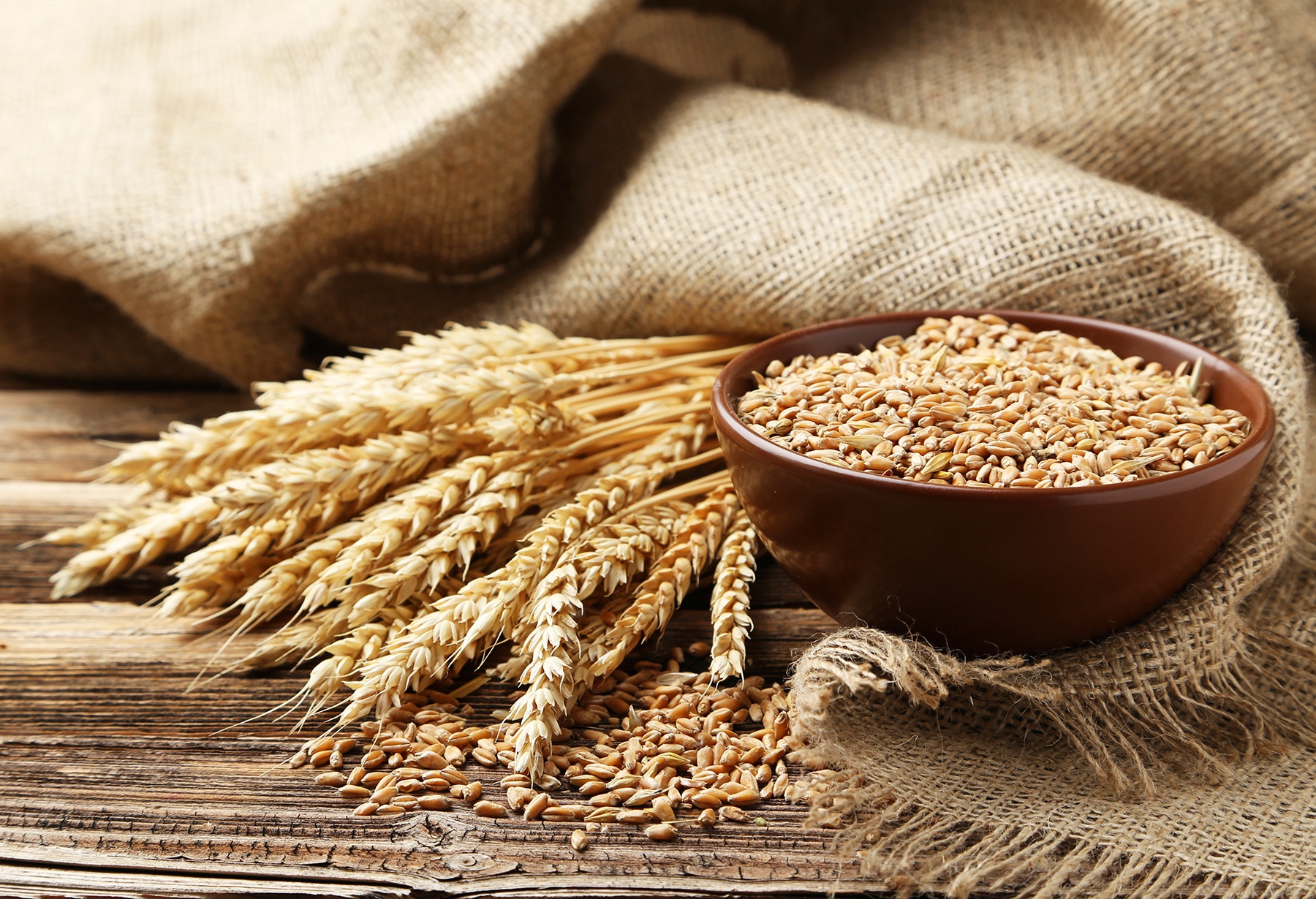 The Wheat Series Part 5: Pulling the Trigger on a Loaded Chamber - The ...