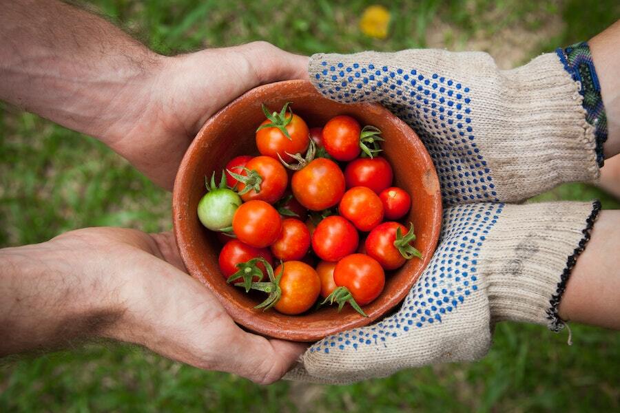 Above shot of someone passing a bowl of tomatoes to someone else.