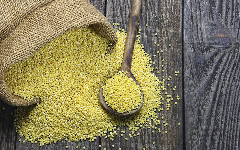 A wooden spoonful of millet lies on top of more millet spilling from a burlap sack on a wooden table.