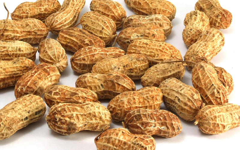 Are Peanuts Nuts? What You Need to Know About This Favorite Food