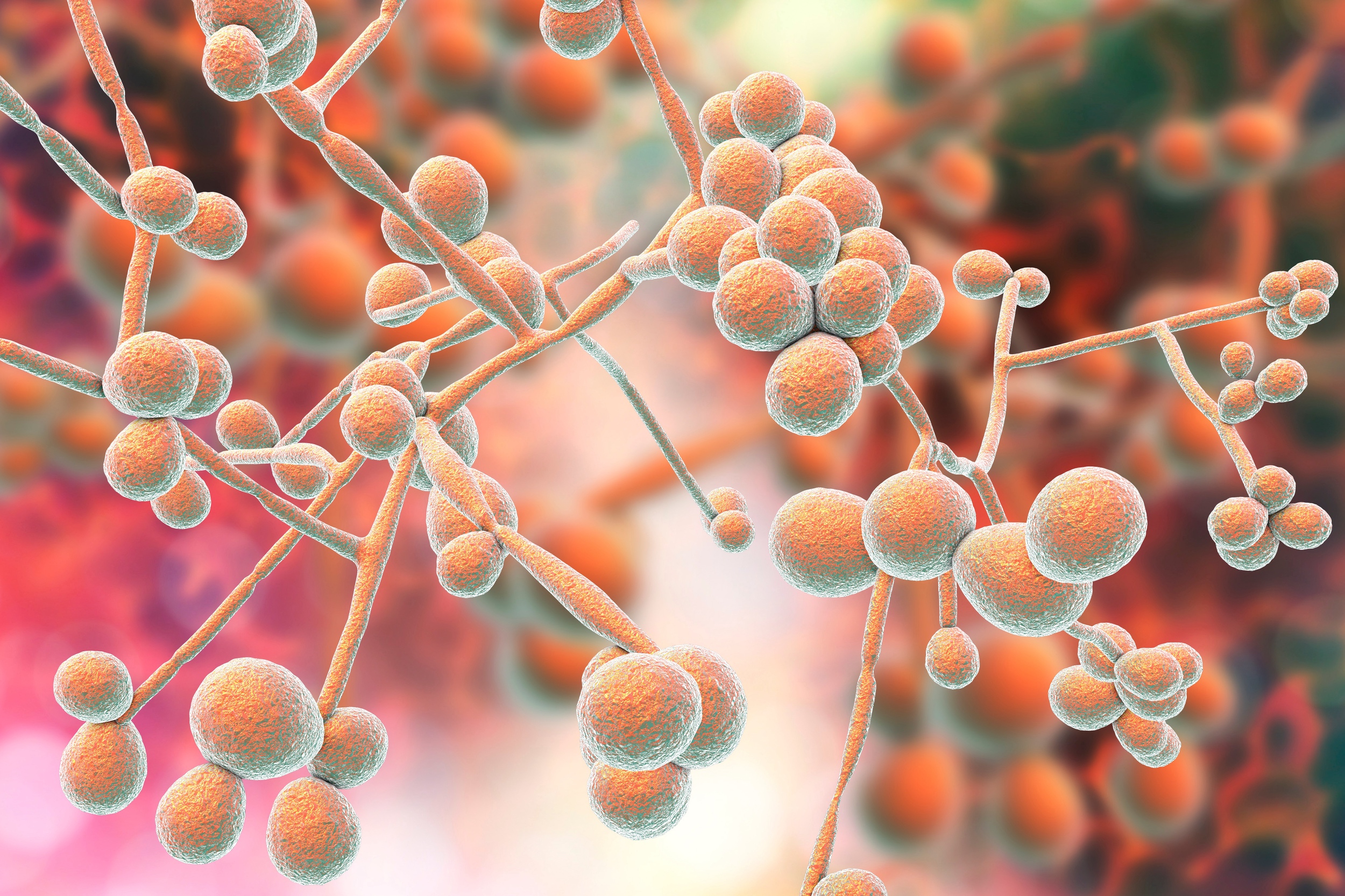 Treating Candida with The Paleo Diet - The Paleo Diet®