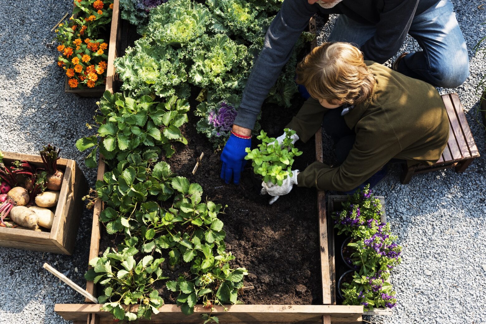 How Gardening at Home Helps the Environment