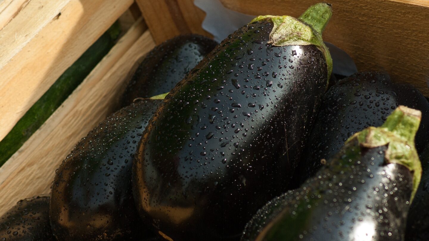 Eggplants in a wooden box