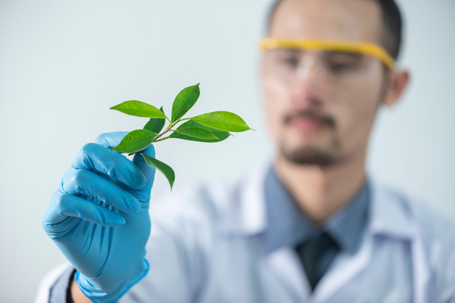 scientist examining a plant