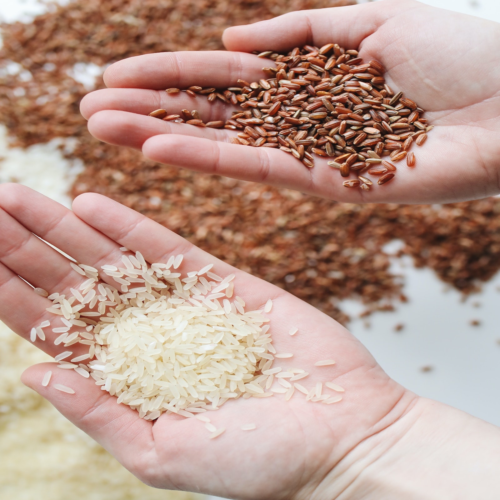 two hands holding grains