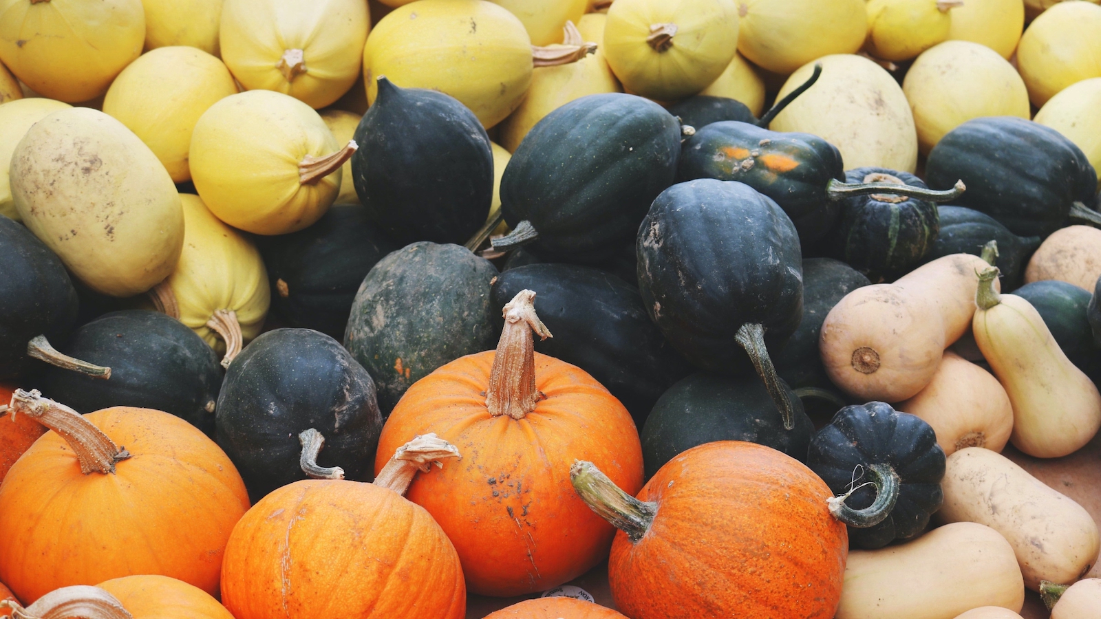 A bunch of squash together in a pile