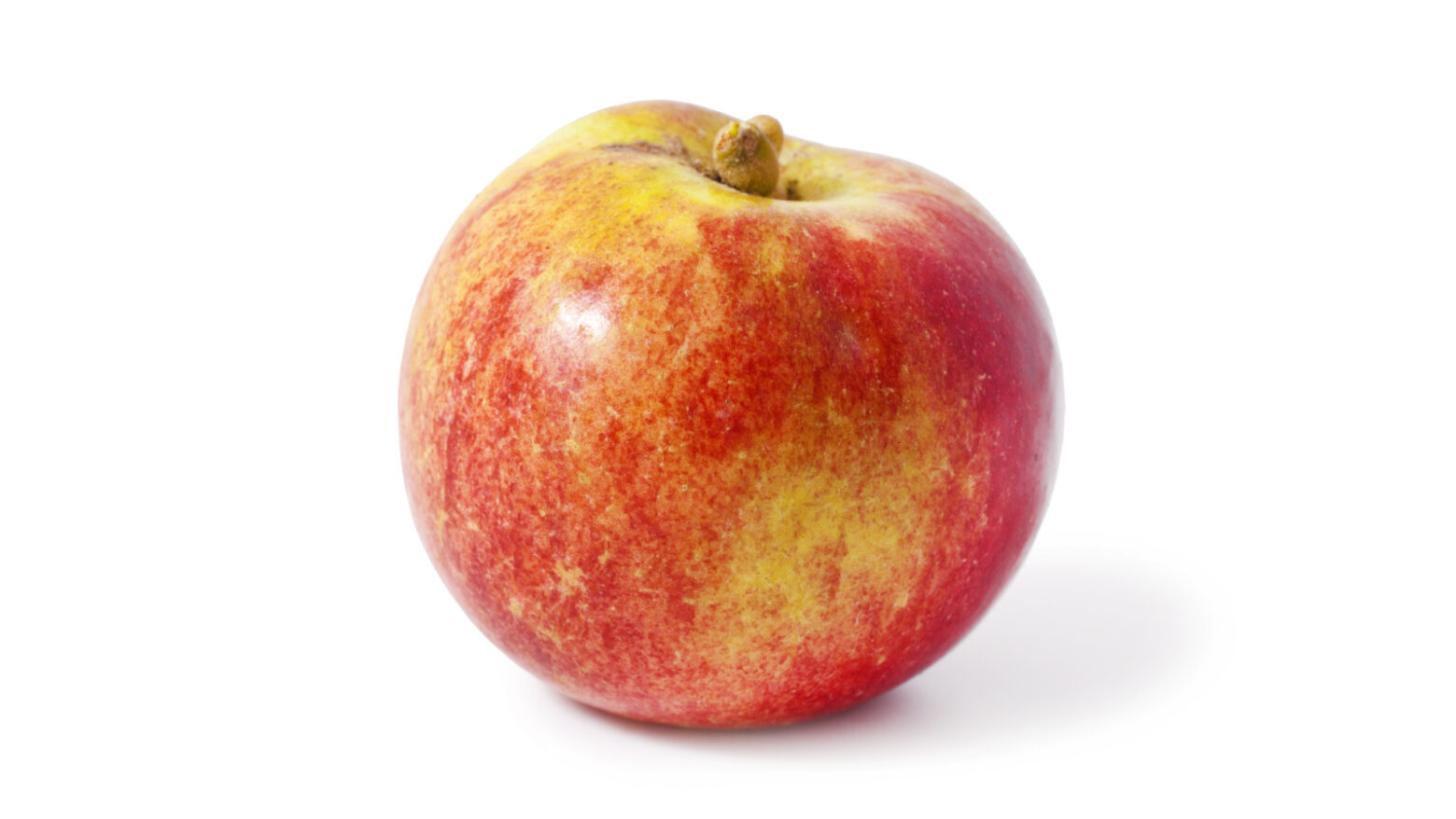 McIntosh apple