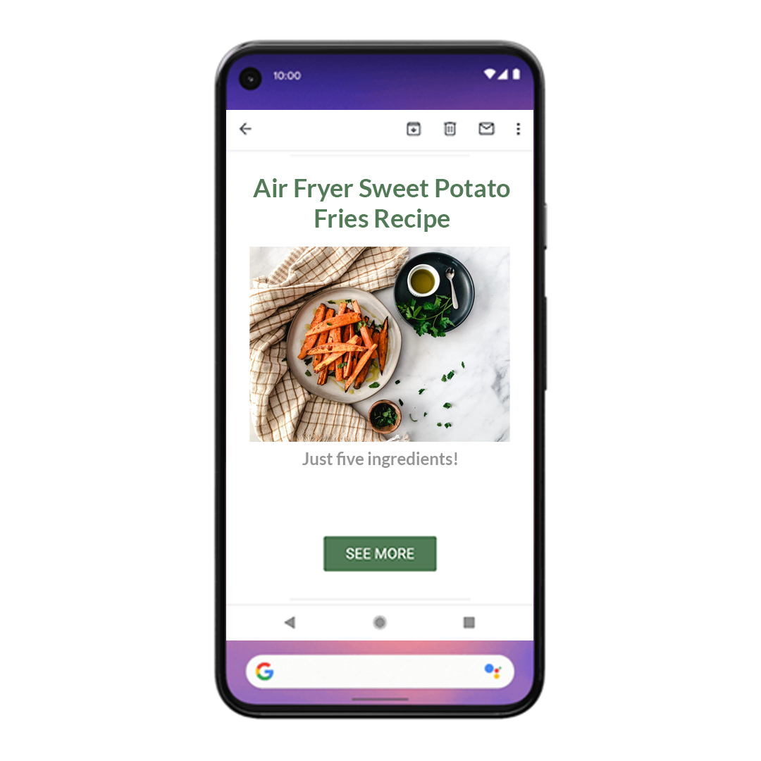 The Paleo Diet Newsletter CTA: Air Fryer Sweet Potato Fries
