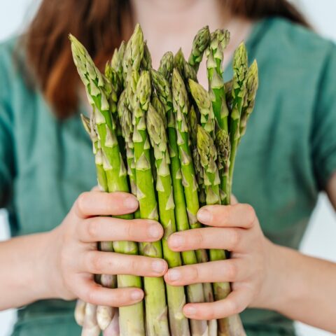 Stock photo of a woman holding a cluster of asparagus.
