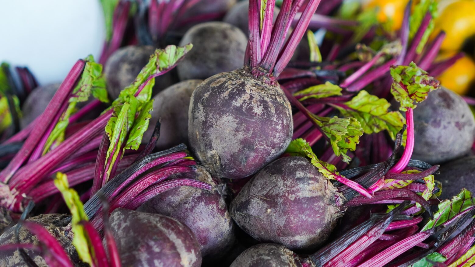 beets gathered together