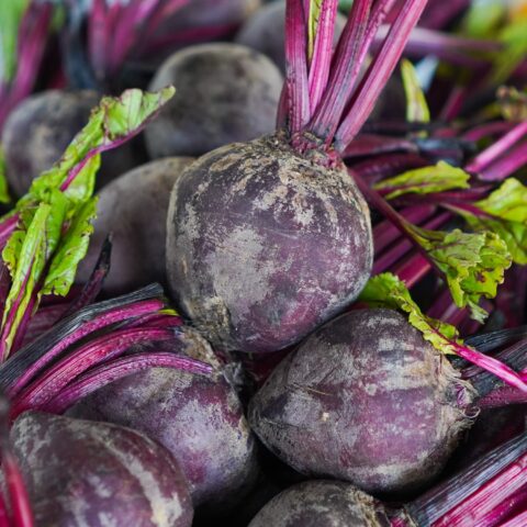 beets gathered together