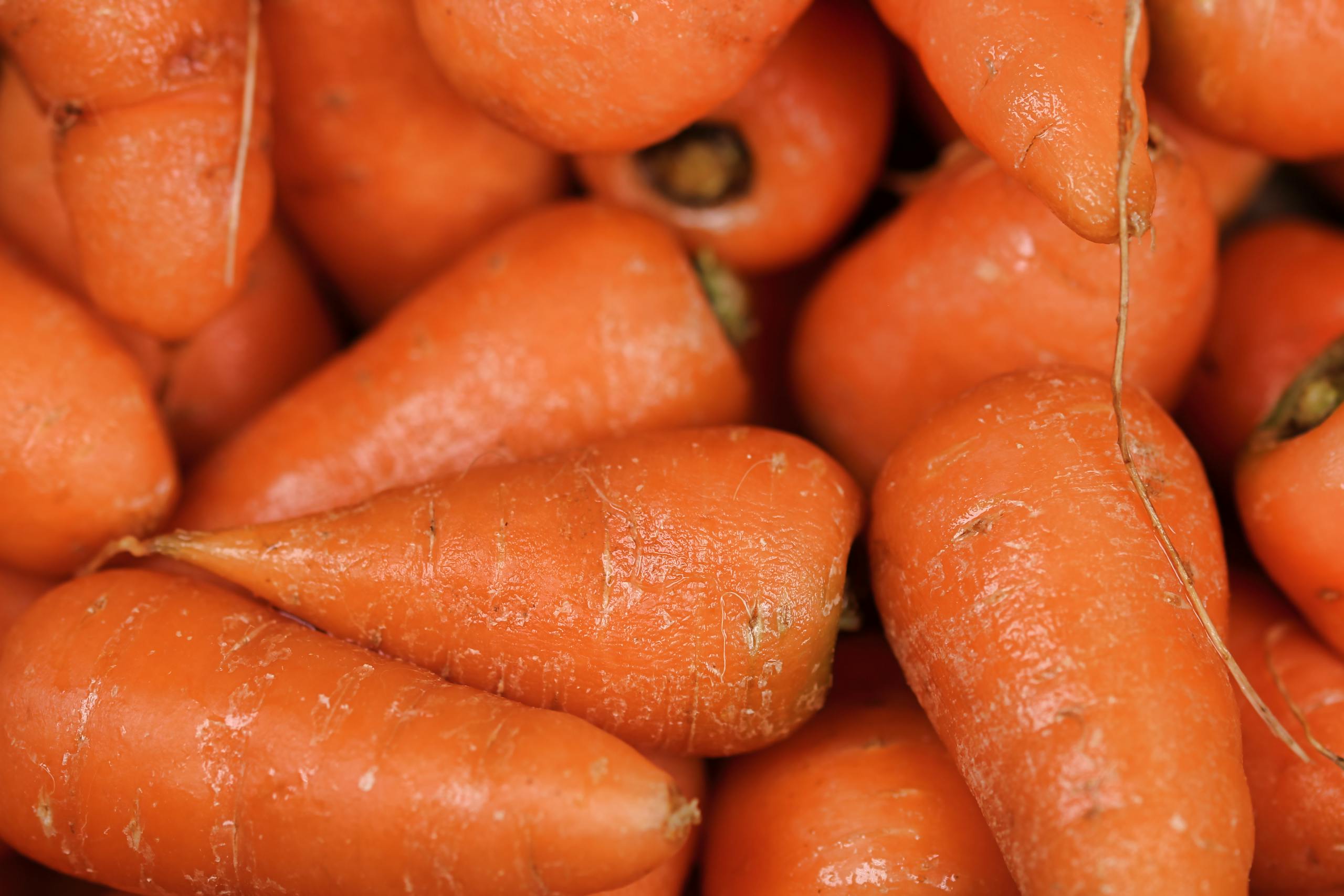 close up of carrots