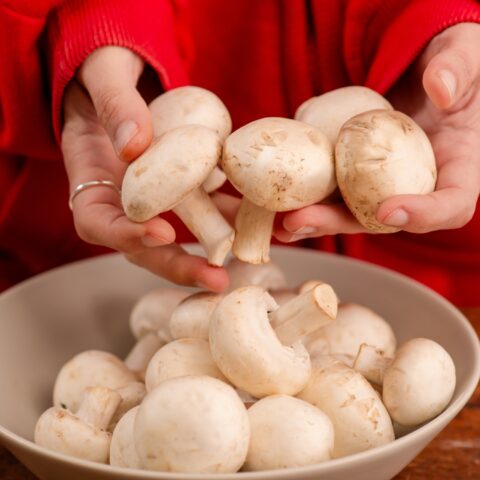 Close up of a woman in a red sweater holding white button mushrooms over a bowl of more mushrooms