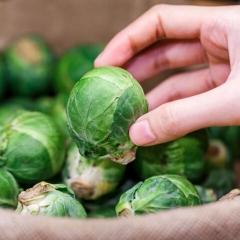 Hand holding a large Brussels sprout above a basket of Brussels sprouts