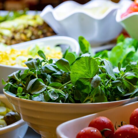 Close-up of an example of a salad base with other ingredients in separate dishes