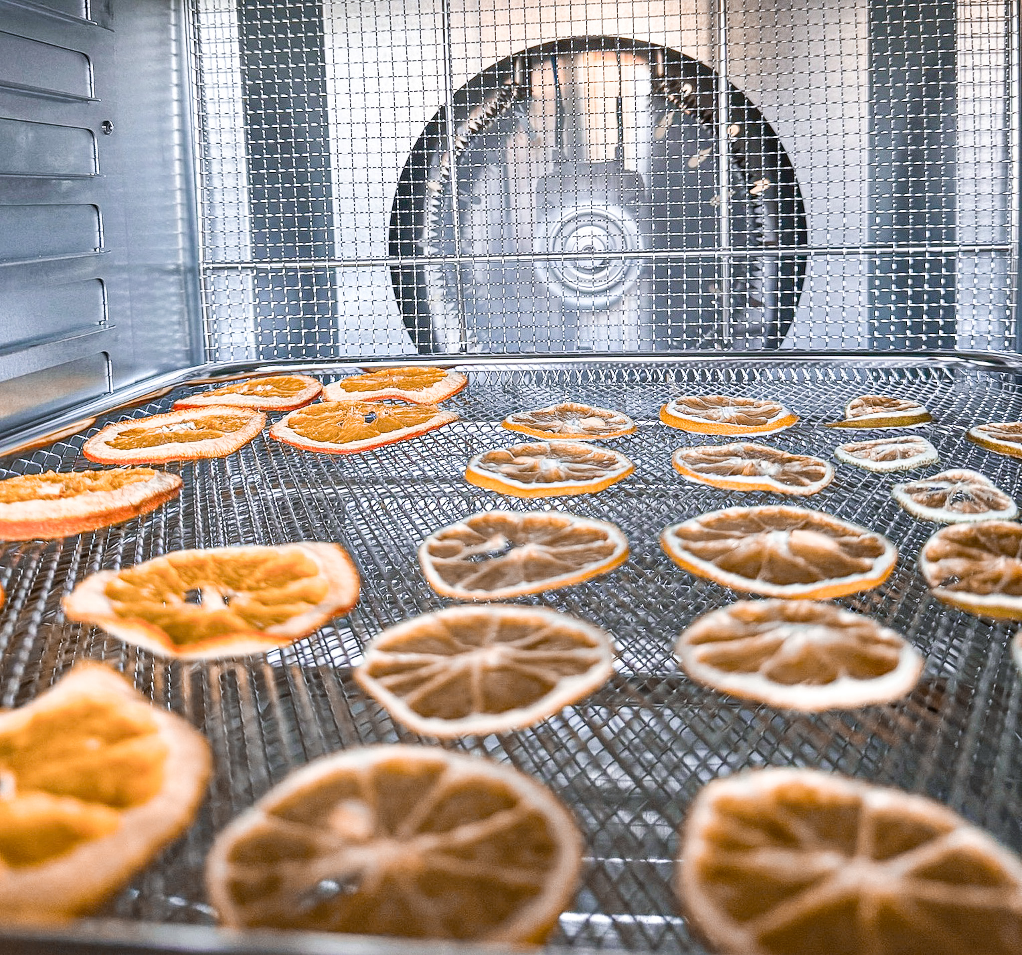 Dried oranges in a dehydrator.