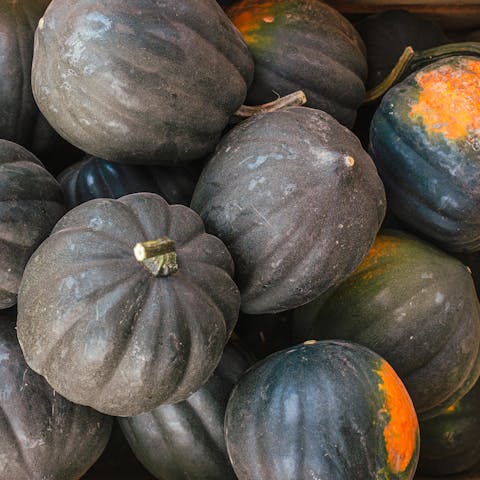 Acorn squash collected in a box.
