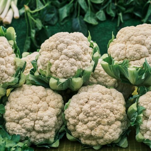 Cauliflower bunches up close in a line.