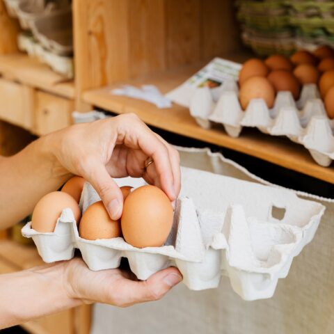 Women placing eggs in carton.