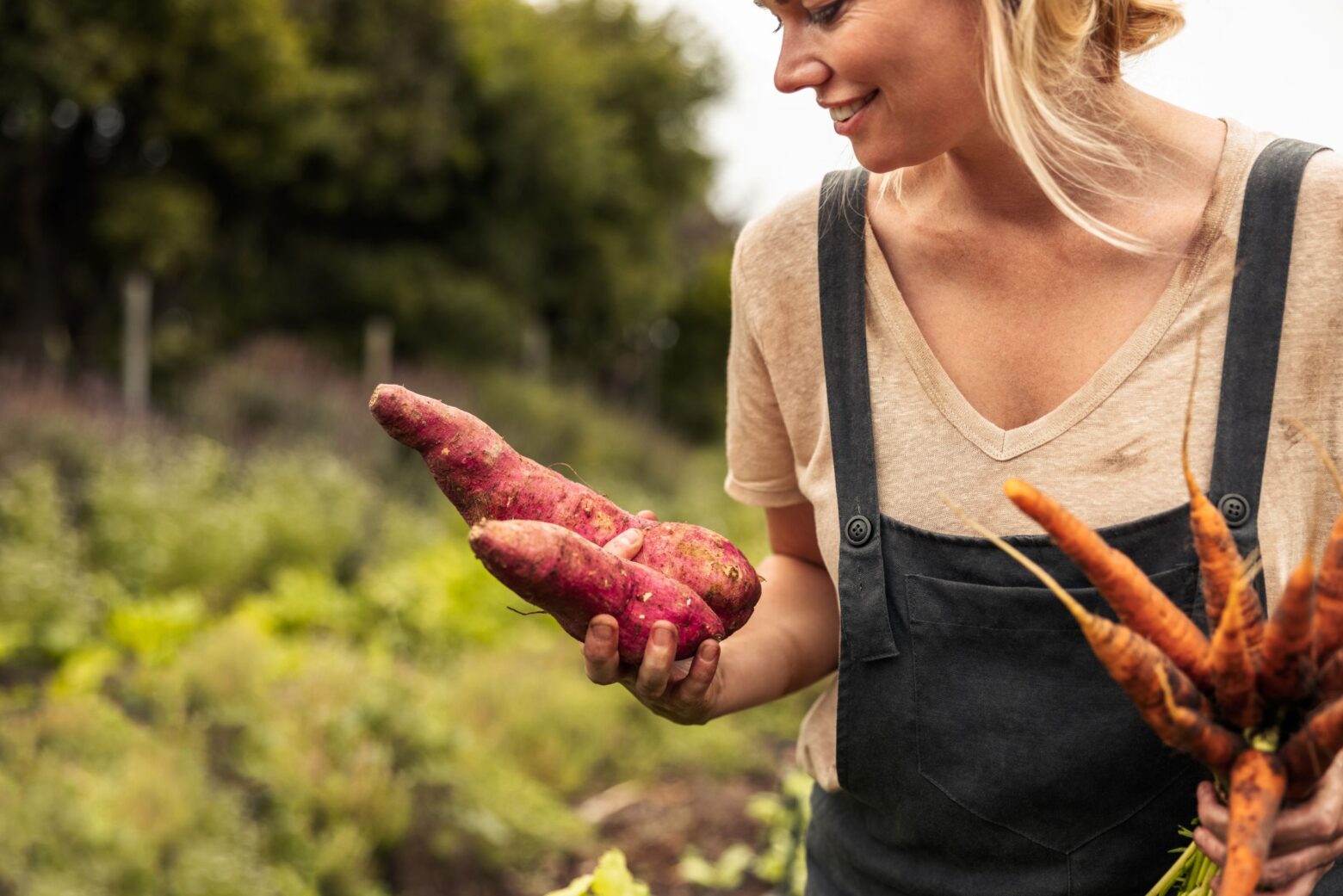 A woman in overalls holds freshly picked carrots and sweet potatoes.