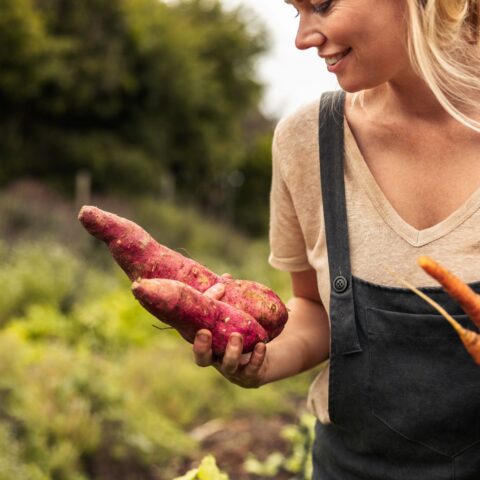 A woman in overalls holds freshly picked carrots and sweet potatoes.