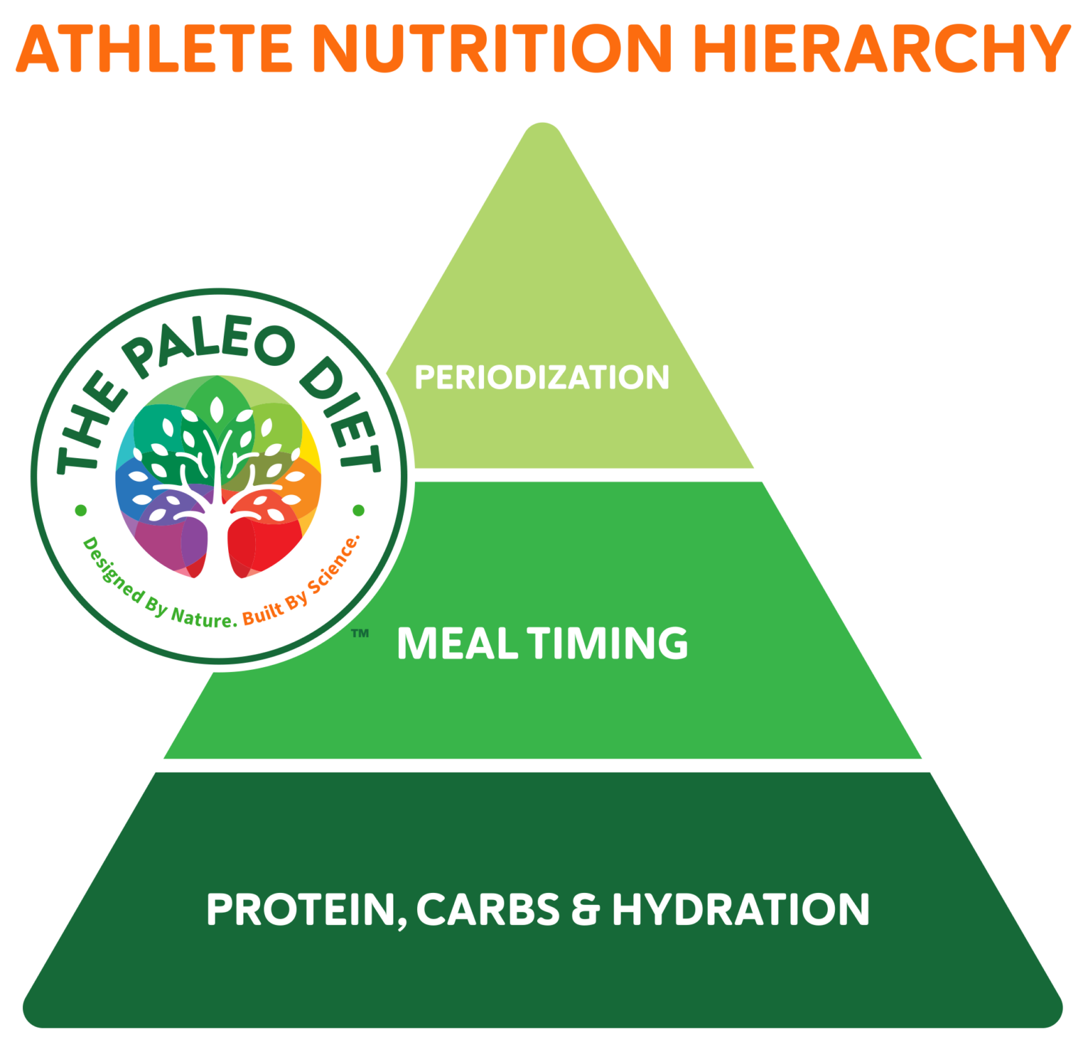 A athlete nutrition hierarchy that helps breakdown nutrient timing categories. 