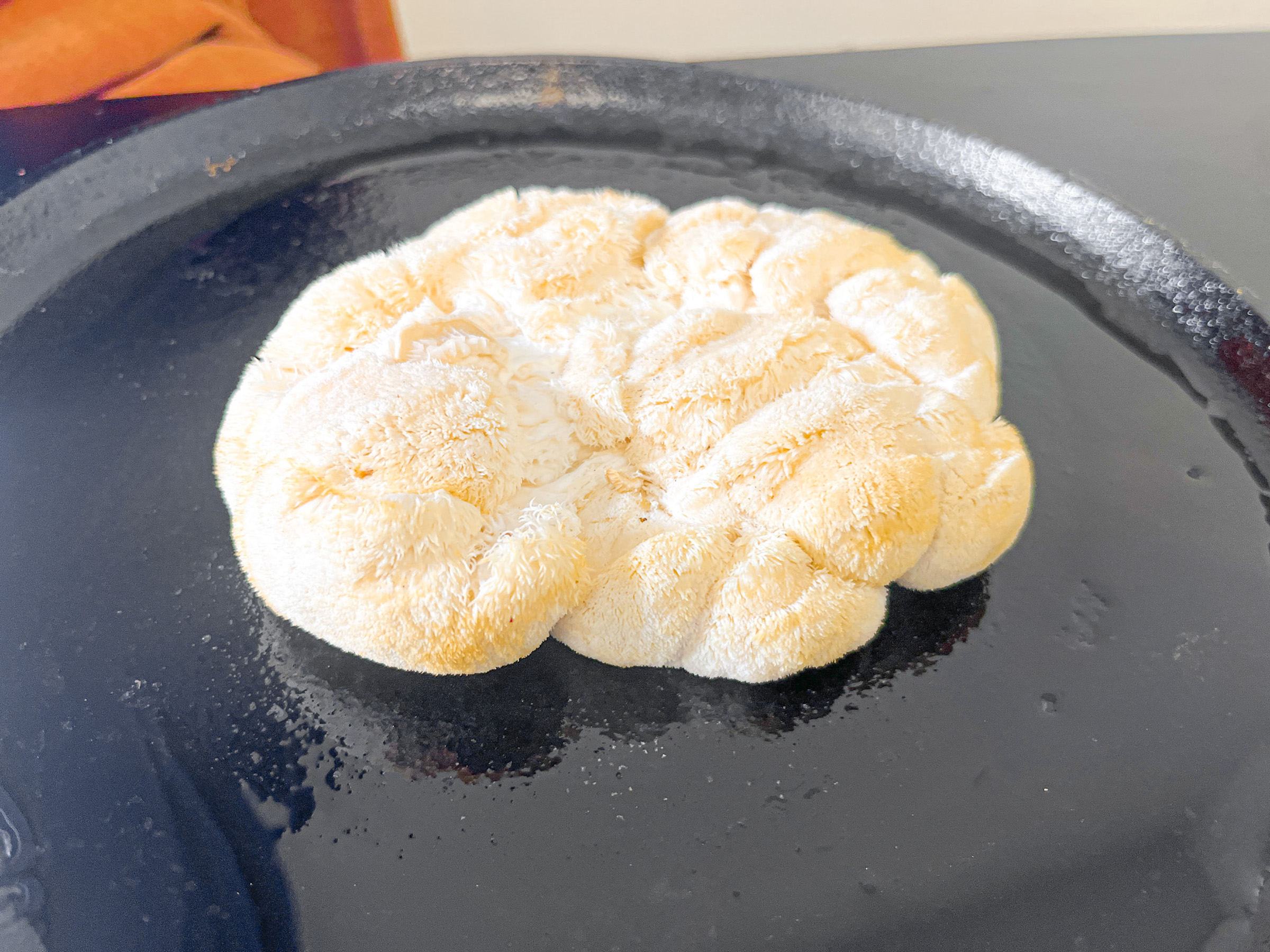 Uncooked Lion's Mane Steak on a plate, before marination