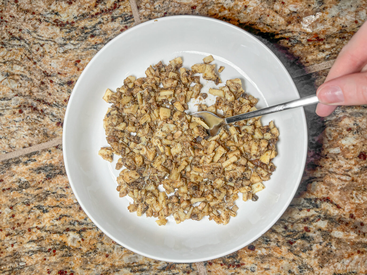 Mushroom rice plated with a spoon.