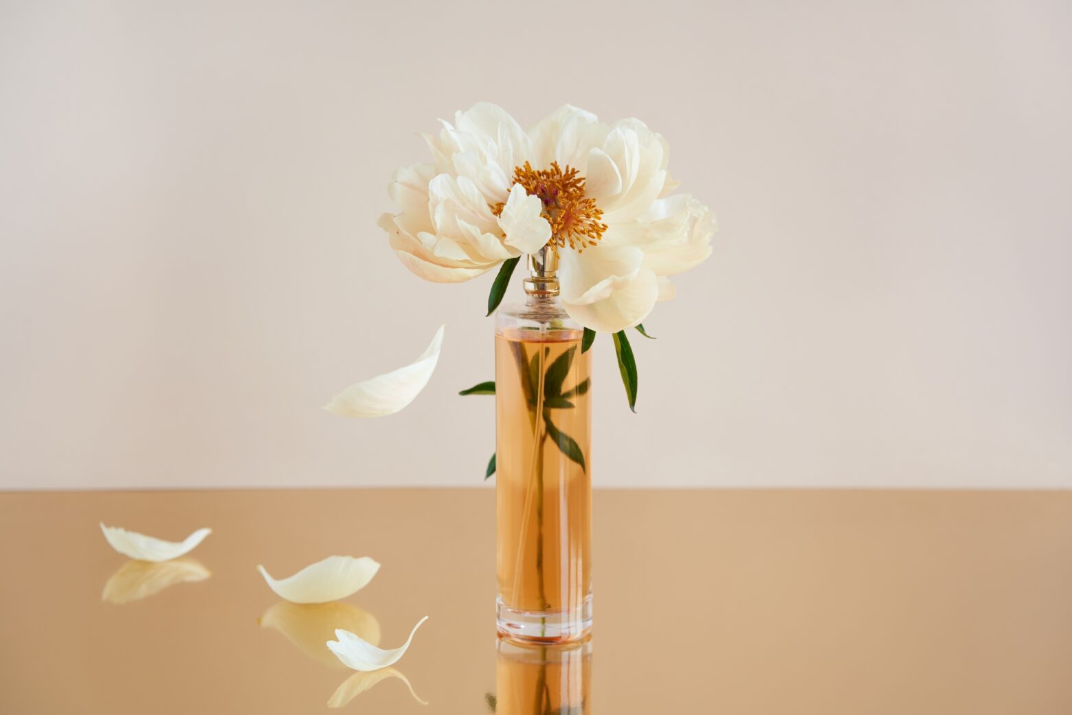 A fragrance bottle holding a white peony that is losing its petals