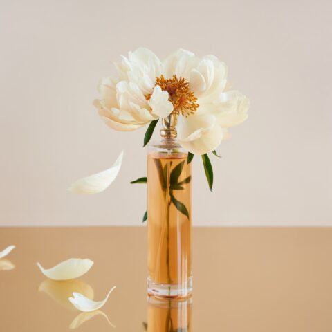 A fragrance bottle holding a white peony that is losing its petals