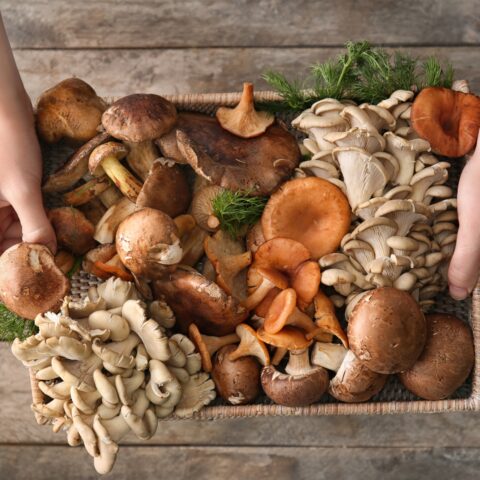 Above shot of a basket of different types of mushrooms in various colors.