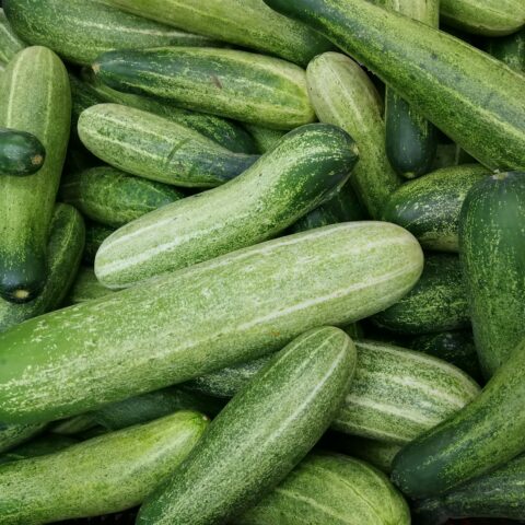 A pile of green cucumbers.