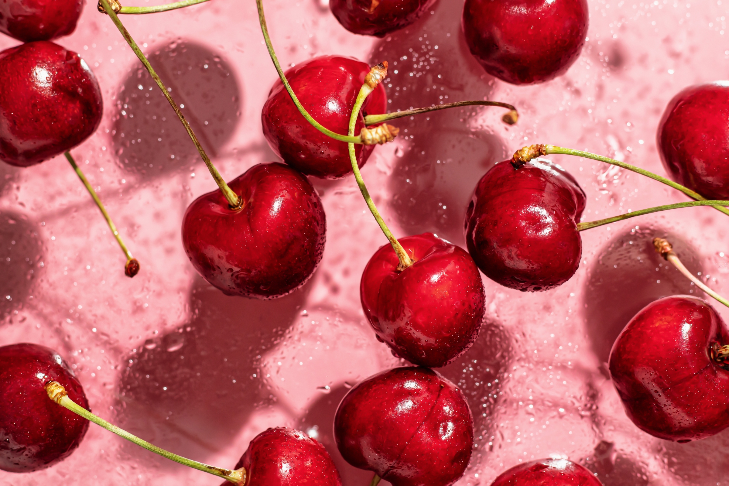 Fresh cherries floating in clear water over a pink background