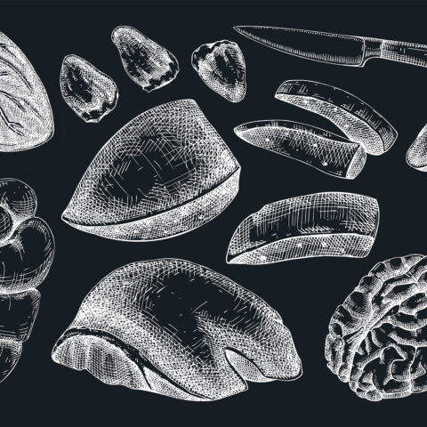 Illustrations of various cuts of organs meats on a black background