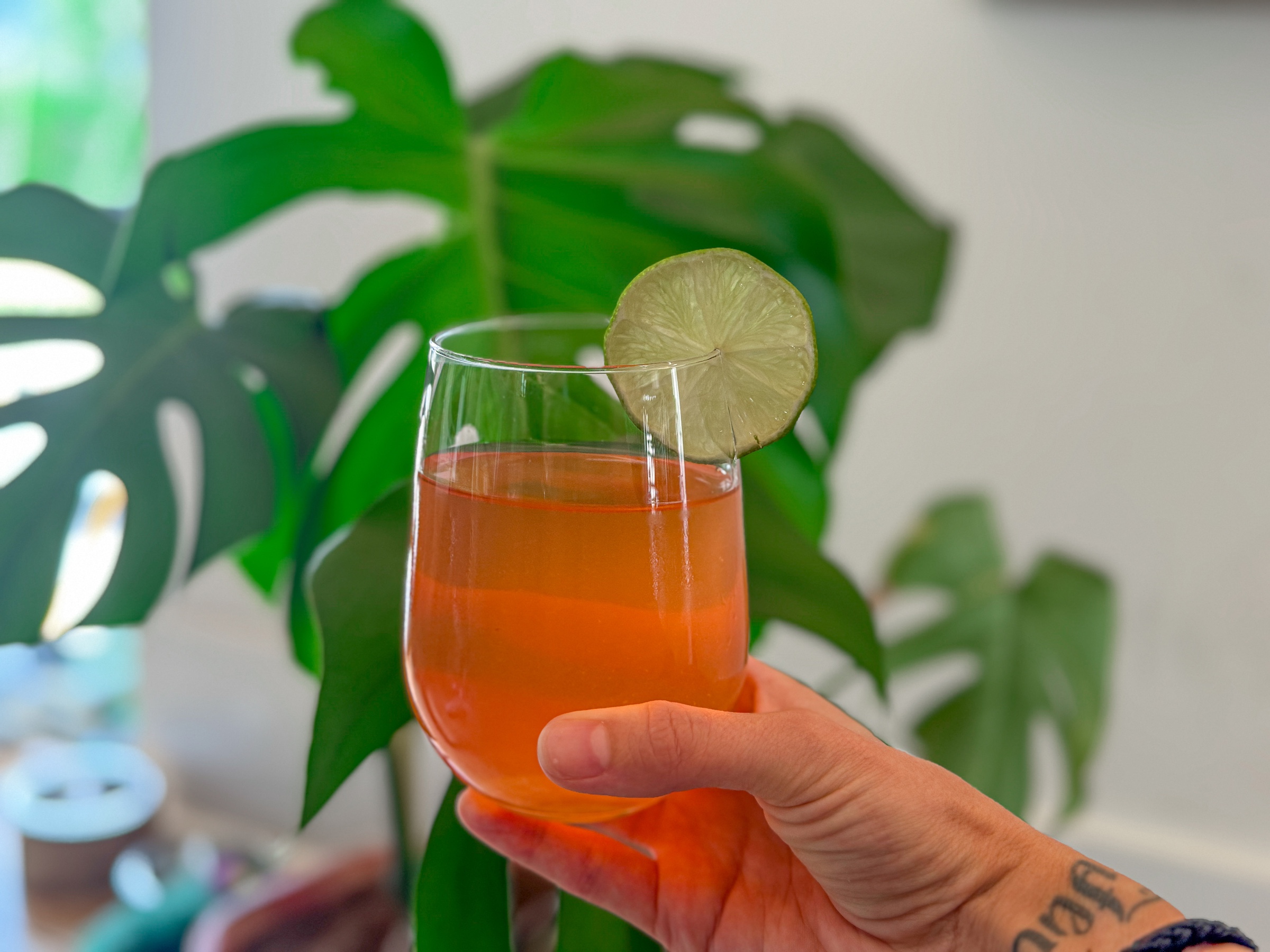 Infused water in a cup infront of a plant. 