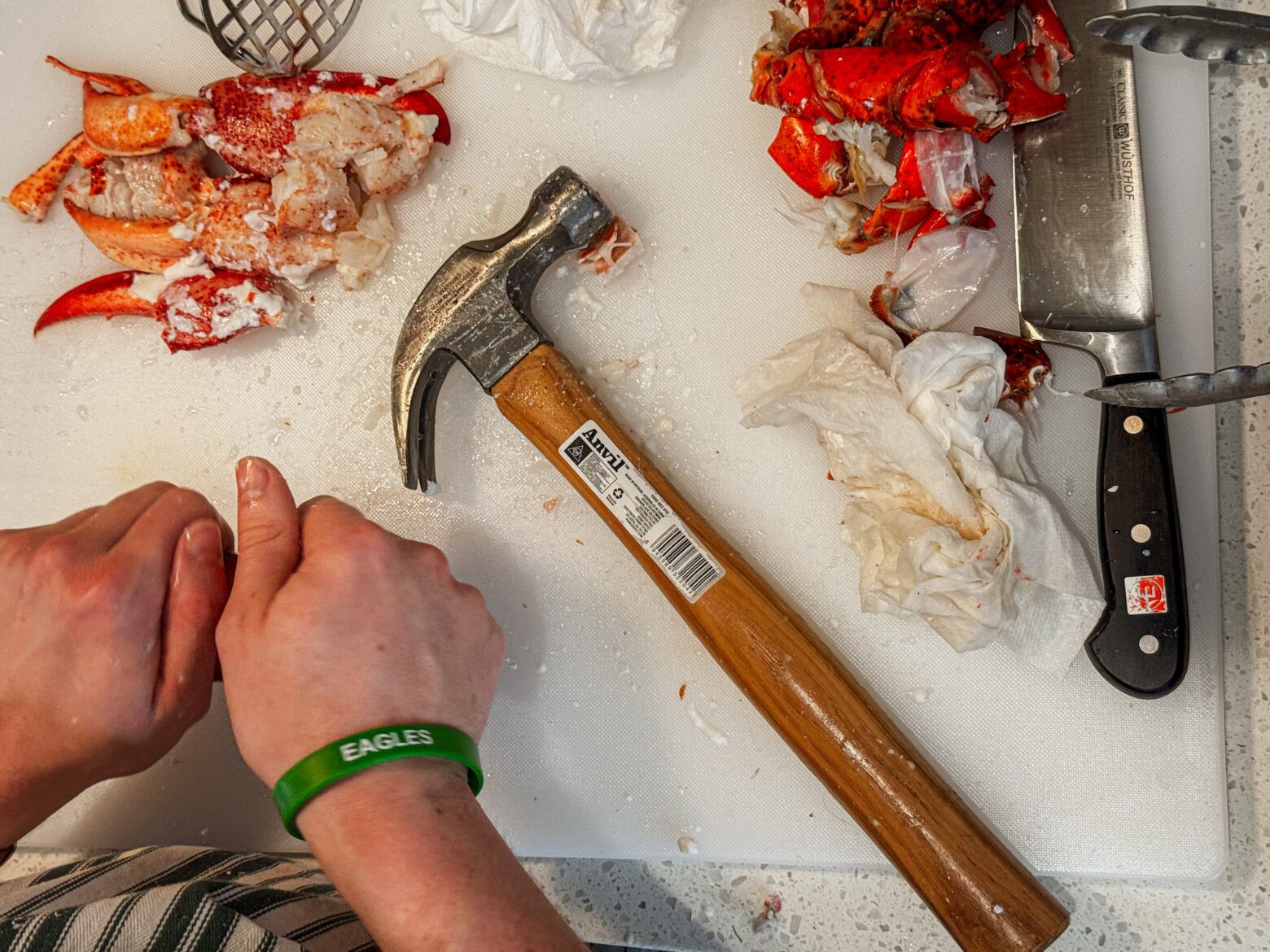 Lobster rolls preperation, lobster being prepped.
