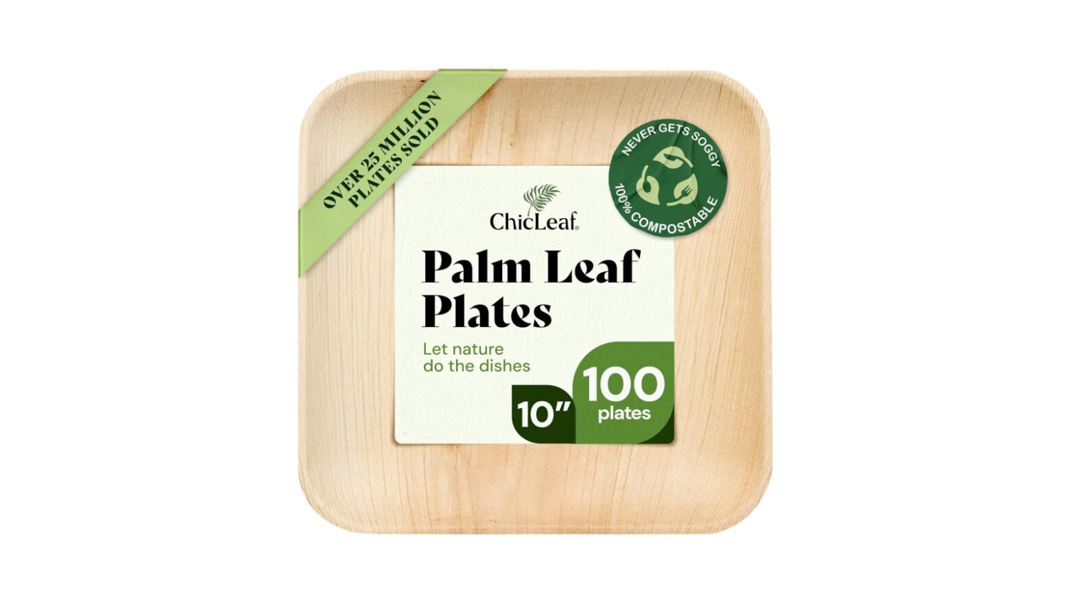Square palm leaf plate