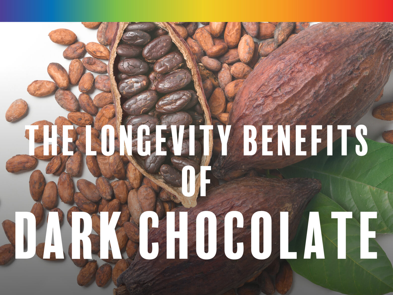 The Longevity Health Benefits of Dark Chocolate and Vitamin K2 from the Paleo for Life book by Dr. Loren Cordain, Trevor Connor, and Dr. Mark J. Smith