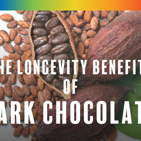 The Longevity Health Benefits of Dark Chocolate and Vitamin K2 from the Paleo for Life book by Dr. Loren Cordain, Trevor Connor, and Dr. Mark J. Smith